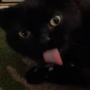 avatar sanguine angel