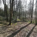revaxiph.
