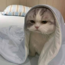 Discord Avatar