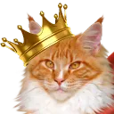 zagrandcat