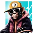 mdfkbtc