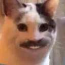 kukuis