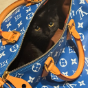 avatar €250 dm fee €500 fr accept fee