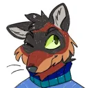 sashacoyote avatar