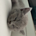 avatar ! 𝕺̈ 𝖒 𝖊 𝖗 58