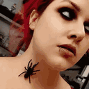 ashleys.exotics