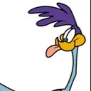 road.runner._