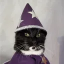 syzyfiontko