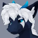 zakudragon
