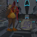 hqqs
