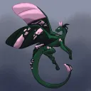 bug_the_dragon