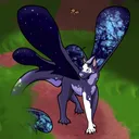 bug_the_dragon
