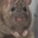 bestusernameeber