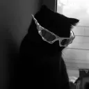 naey666