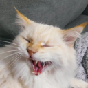 User icon
