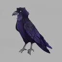ravenview