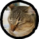 boring_niko