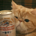 avatar mikeeec(老白)