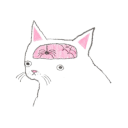 kovacsviktoriia member profile picture
