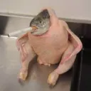 jay.0404