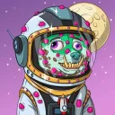 1reishi