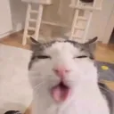 joeyspa