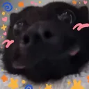 whojuju