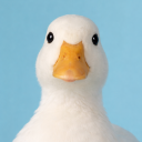 avatar 𝐒𝐄𝐋𝐄𝐒𝐓𝐑𝐈𝐀