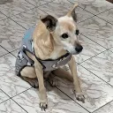 kalliw0
