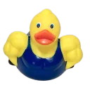 ivan8or