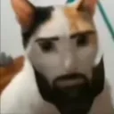 dkuser