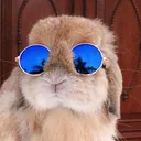 mayru_bun