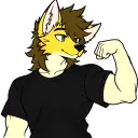 ycooper_