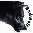 xxbadwolfxx
