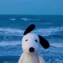 jenjenv_
