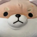 mazapanfox