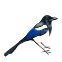 mumpsimus9401