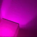 stinkmaxer