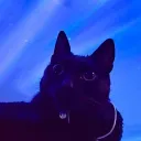 RainCloud's Discord avatar