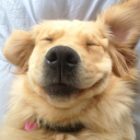 taoneverdie640's Avatar