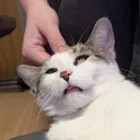radded