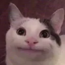 quarob