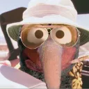 gonzo9153
