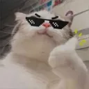 tabzgg
