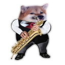 smejky8311#4036's avatar