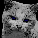 ictcat
