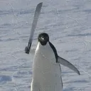weeeeeezzzzzz