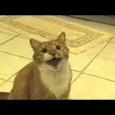 carlitos126211 avatar