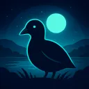 ambientcoot87