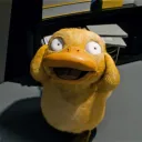theragingrobin